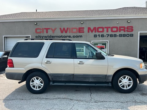 Ford Expedition XLT 2006 Tan